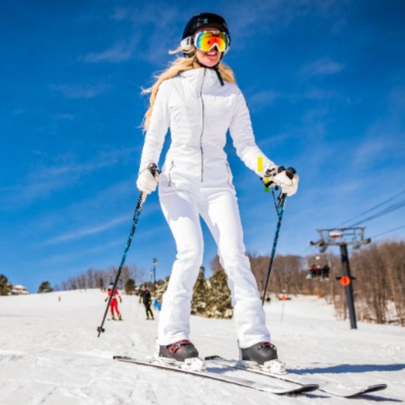 Meet your Posher, Belle - Picture 1 of 1